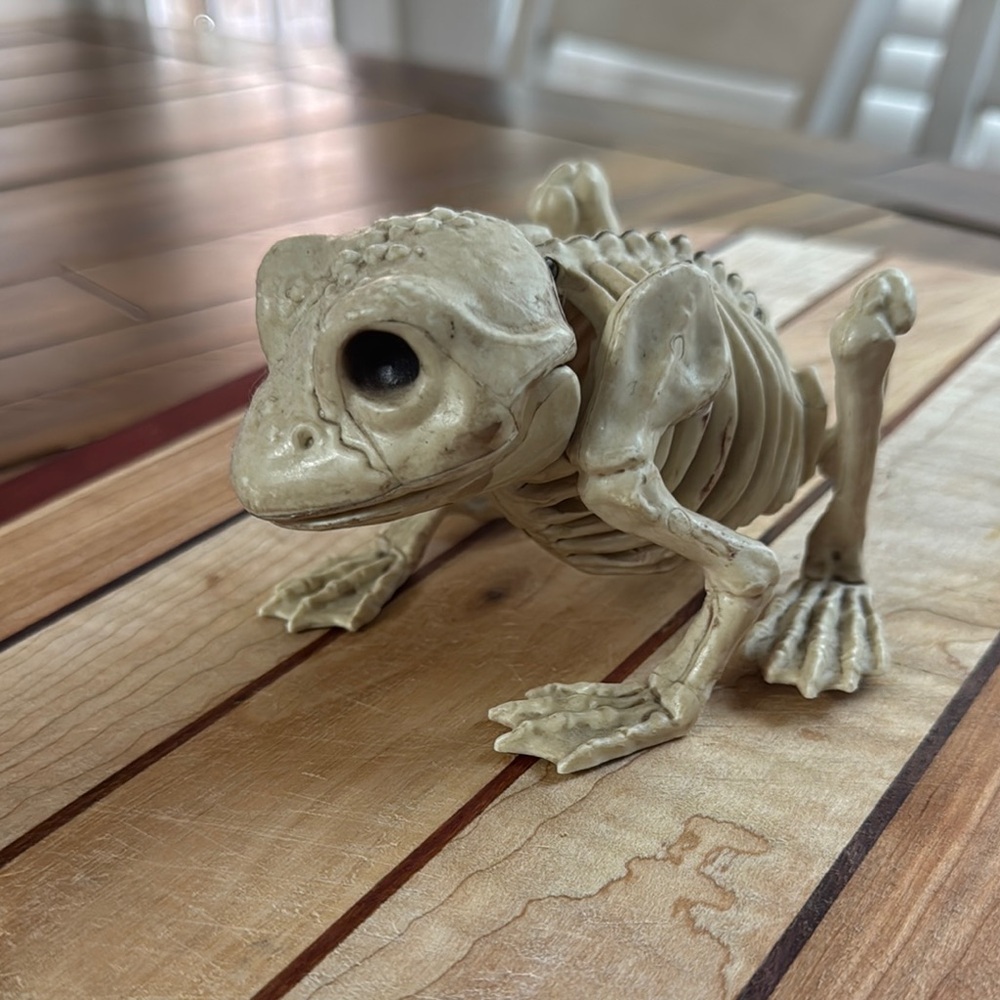 Halloween Reptile Skeleton Reptile - Cream